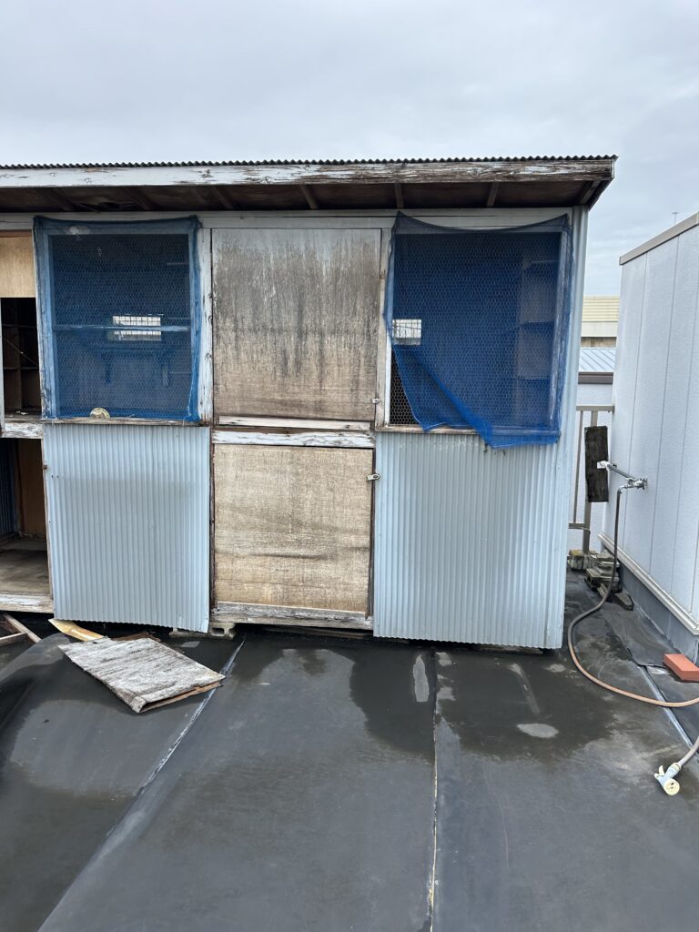 施工前